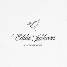 Bird Photography Logo - 62 Best Bird logos images | Bird logos, Birdwatching, Bird feathers