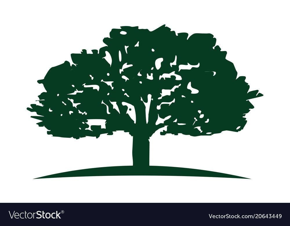 3 Tree Logo - Oak Tree Logo Design Template Vector Image On VectorStock Remarkable ...