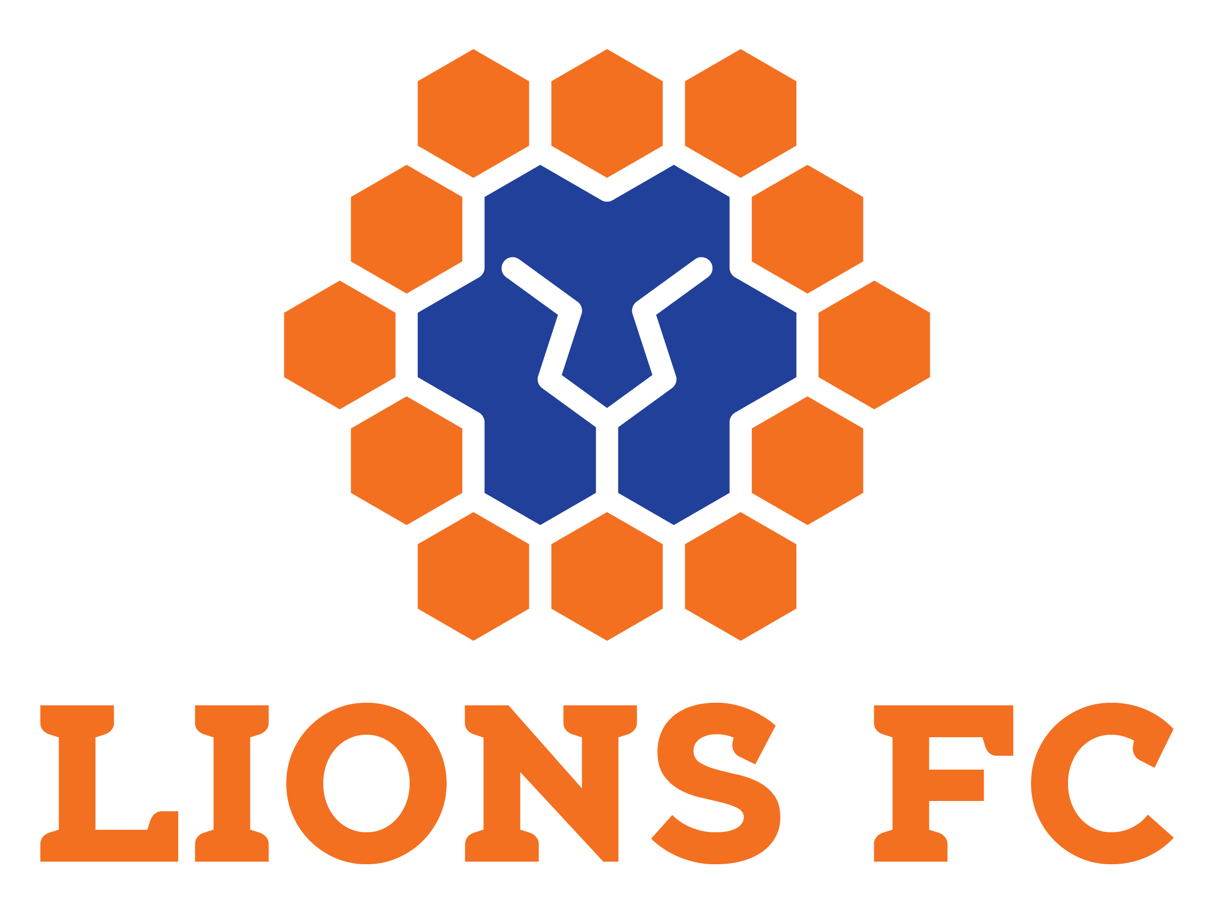 Silver Lions Football Logo - Queensland Lions FC