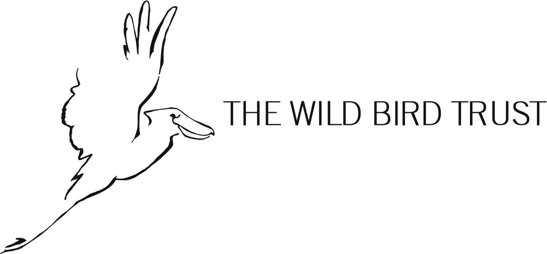 Bird Photography Logo - Top 25 Wild Bird Photographs of the Week #76 – National Geographic ...