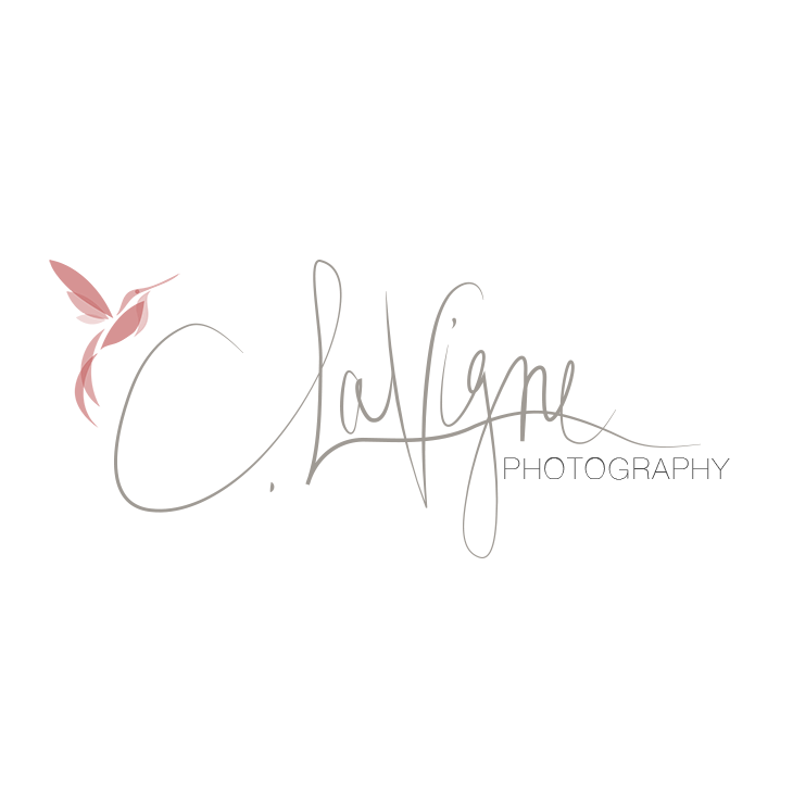 Bird Photography Logo - C. LaVigne Photography — piece by piece