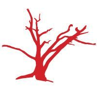 Red Branch Logo - Working at Red Branch Media. Glassdoor.co.uk