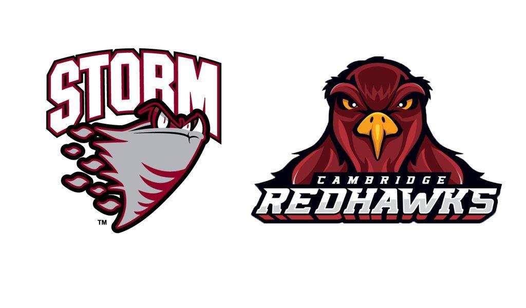 RedHawks Hockey Logo - Storm announce affiliation with Cambridge RedHawks