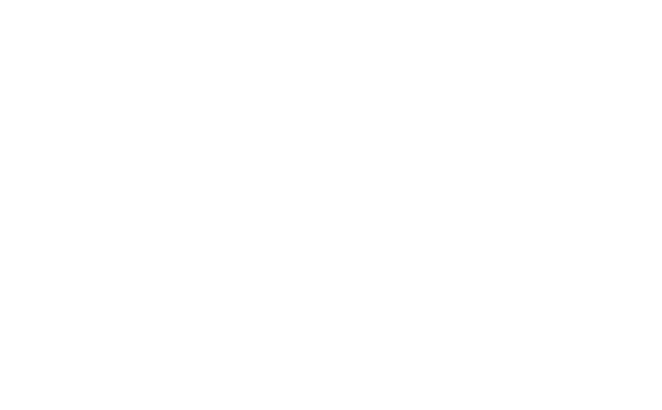 White with Blue Bird Logo - Bluebird Care Logo (White on transparent) - Greydient Jobs