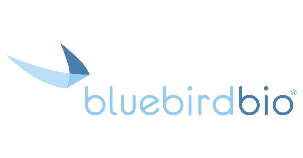 White with Blue Bird Logo - bluebird bio and Gritstone Oncology Announce Strategic Collaboration