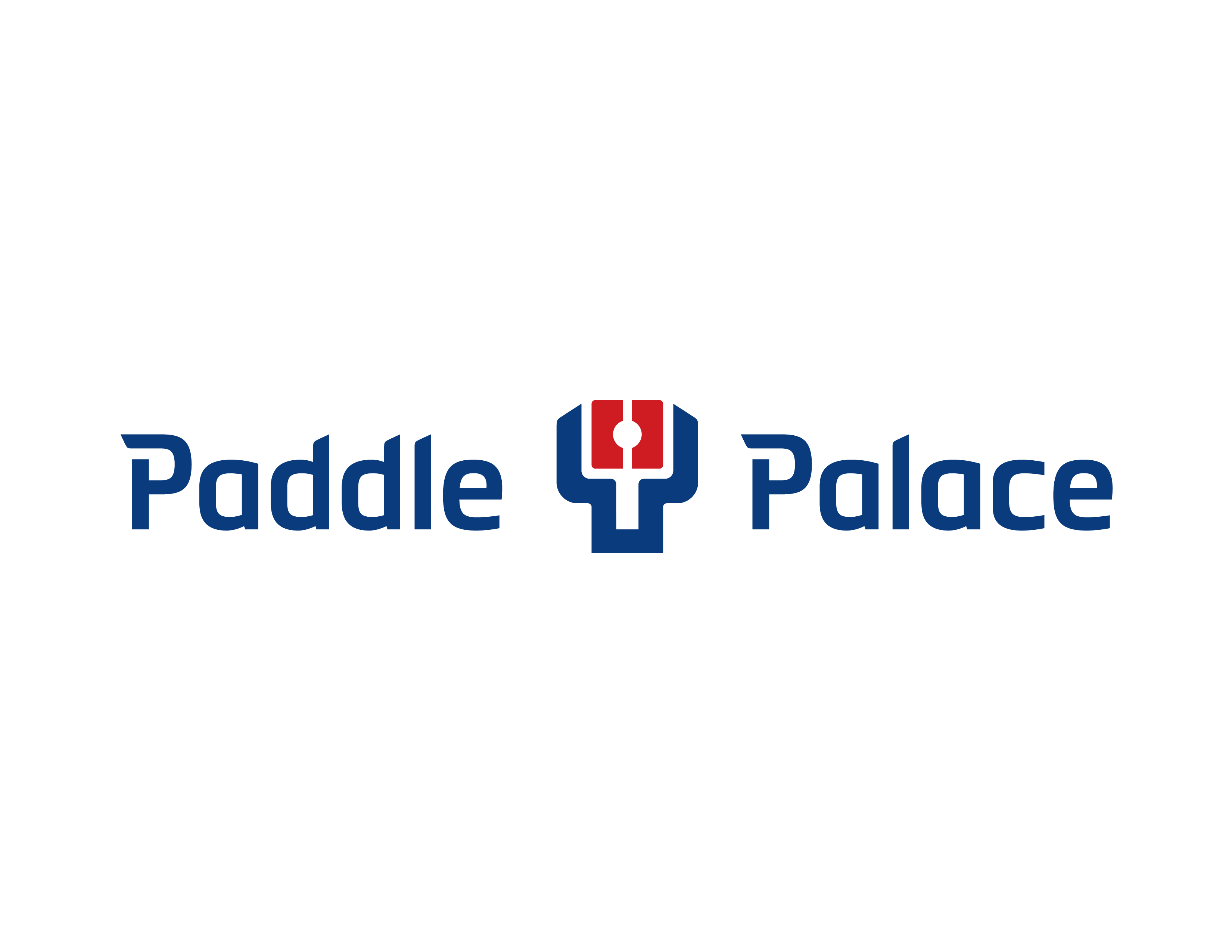 Paddle Palace Logo - Paddle Palace Table Tennis / Ping Pong Equipment and Supplies