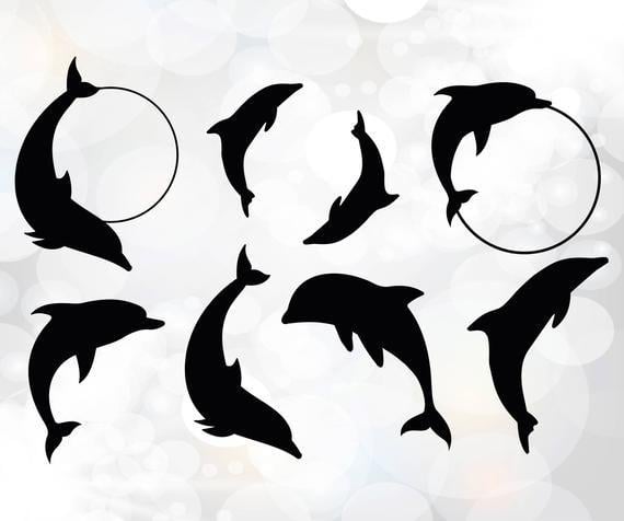 Download Dolphin Circle Logo Logodix