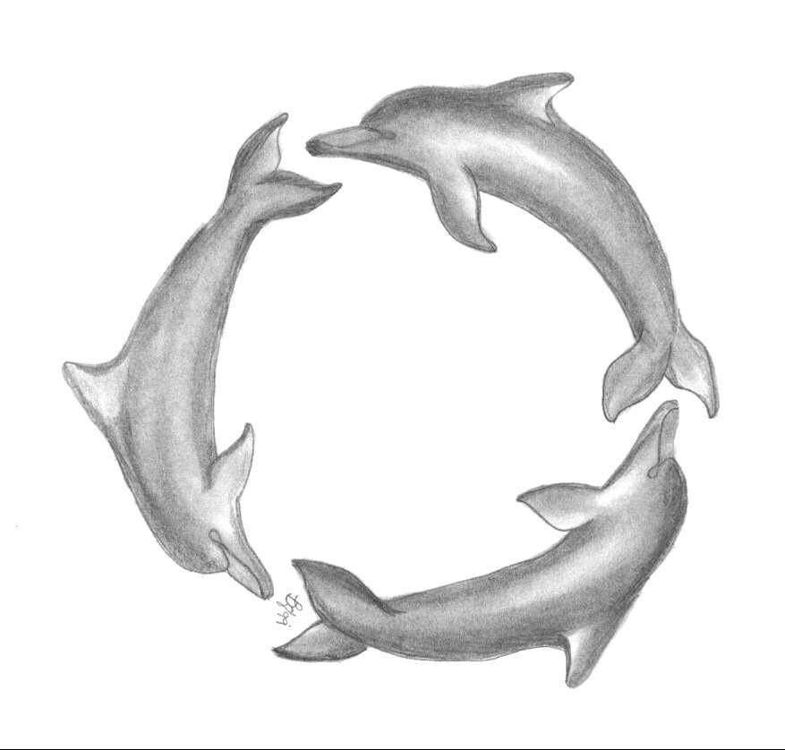 Dolphin Circle Logo - 7 Dolphin drawing circle for free download on Ayoqq.org