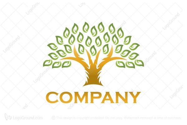 Green and Gold Logo - Gold And Green Tree Logo