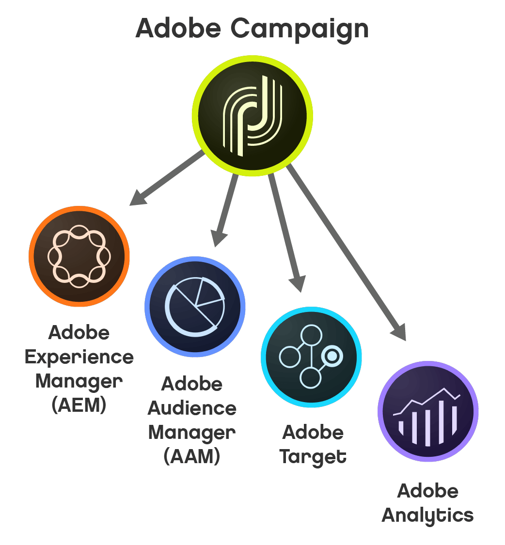 Adobe Campaign Logo - Certified Adobe Marketing Solutions Partners | Munvo