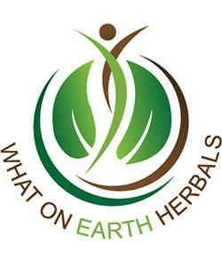Earth Logo - Earth Globe Logo Designs To Celebrate Earth Day