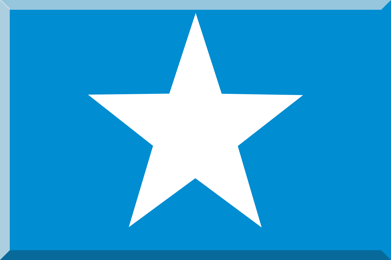 White Star Blue Background Logo - 600px White Star On Blue HEX 008DD1 Background.svg