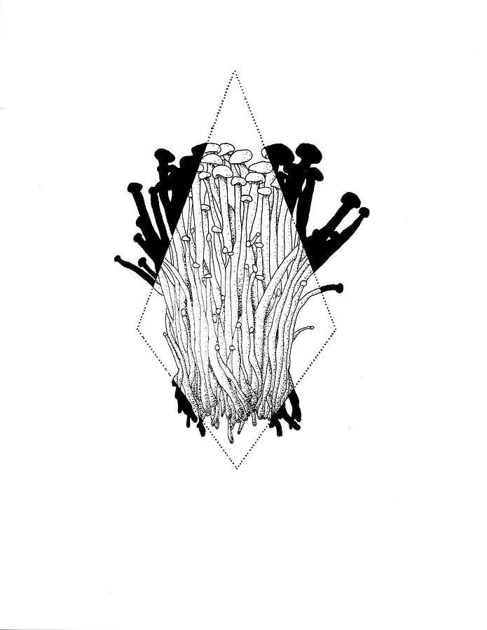 Drawing of Neff Logo - Enoki Mushrooms Drawing by Xavier Neff