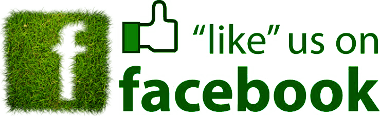 Green Facebook Logo - Face Like Us Logo Png Image