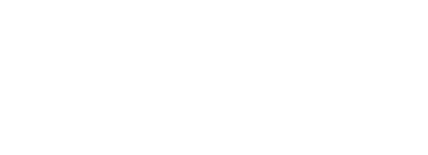 Sun Auto Logo - Sun Automobile - Nengun Performance