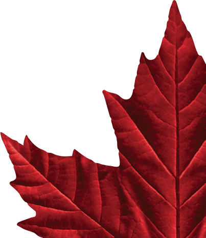 Molson Canadian Logo - Molson canadian maple leaf Logos