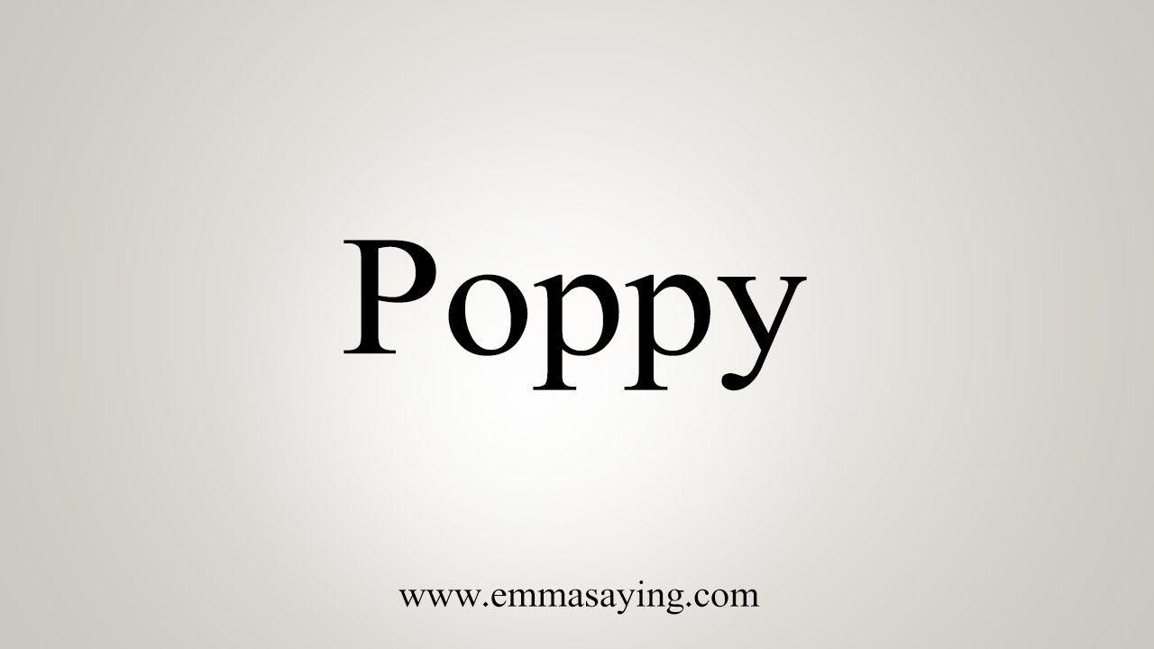 Poppy YouTube Logo - How To Pronounce Poppy - YouTube