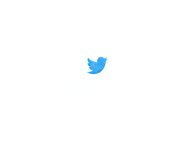 Turquoise Twitter Logo - Twitter Logo Animation