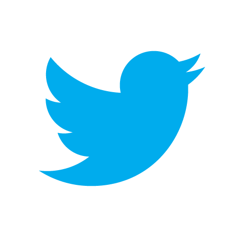 Turquoise Twitter Logo - Twitter's impact in politics! - #ComDev 2.0
