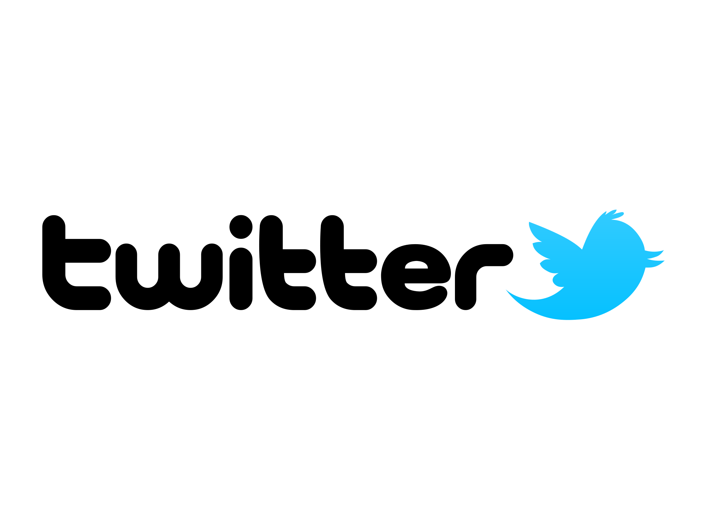 Turquoise Twitter Logo - Twitter Logo 2010