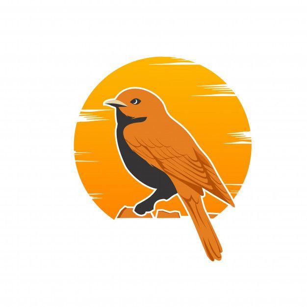 Vector Bird Logo - Bird logo design Vector | Premium Download