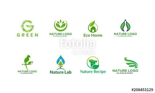 Vector Bird Logo - Set of Nature Logo designs concept vector, Bird Logo, Water Drop ...