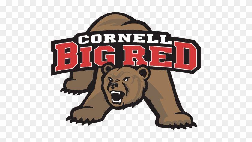Cornell Big Red Bear Logo - Baylor Bears - Cornell University Big Red - Free Transparent PNG ...