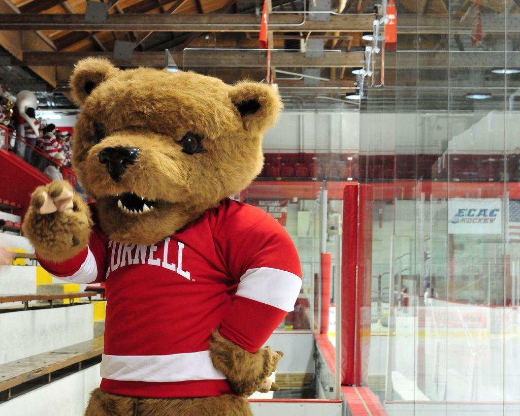 Cornell Big Red Bear Logo - Big Red Bear. Cornell's mascot, chillin at a hockey game