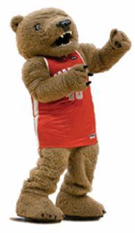 Cornell Big Red Bear Logo - Bear necessities | Cornell Chronicle