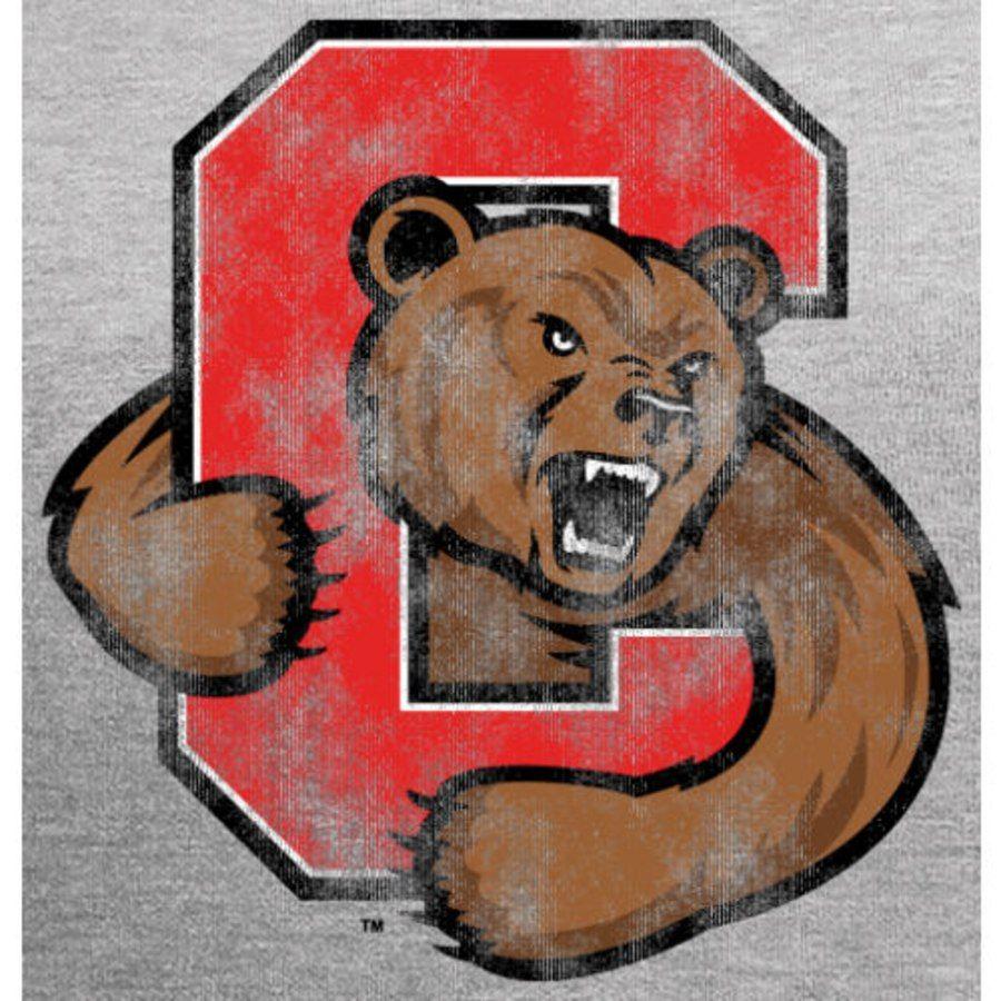 Cornell Big Red Bear Logo - Men's Ash Cornell Big Red Classic Primary Logo Pullover Hoodie