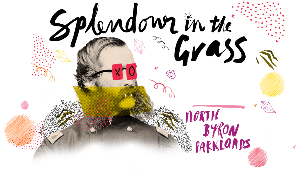 Phoenix Mixed with Red Bull Logo - Thandi added to Splendour in the Grass lineup