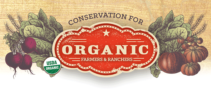Orange USDA Logo - What is the EQIP Organic Initiative? | NRCS Caribbean Area