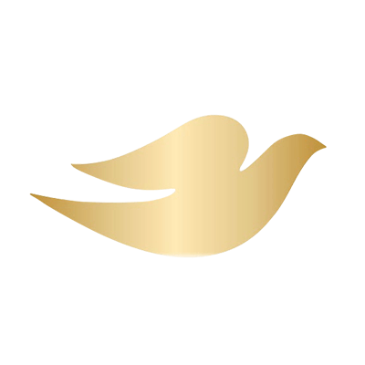 Dove Shampoo Logo - Dove Arabia (@Dove_Arabia) | Twitter