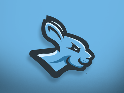 Kangaroo Mascot Logo - Kangaroo - Mascot Logo Design | Mascot Branding And Logos | Favoritos