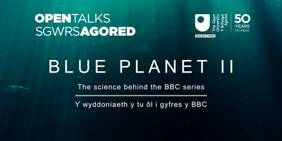 Blue and Green Y Logo - Blue Planet II: The science behind the BBC series/Y wyddoniaeth y tu ...