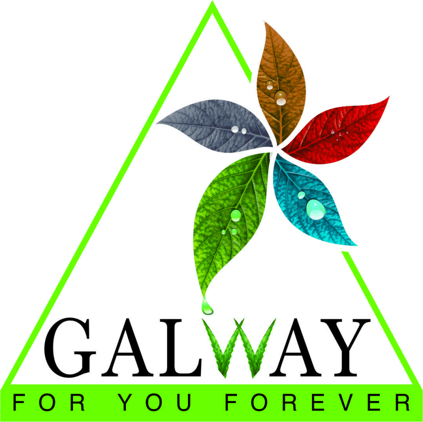 Galway Logo - Galway For You Forever (logo)™ Trademark