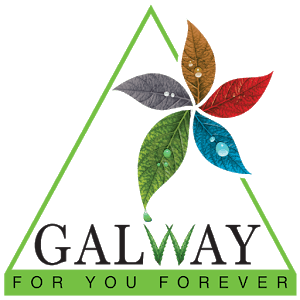 Galway Logo - Download Galway APK latest version app for android devices