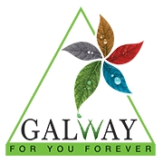 Galway Logo - Glaze Trading India Office Photo. Glassdoor.co.in