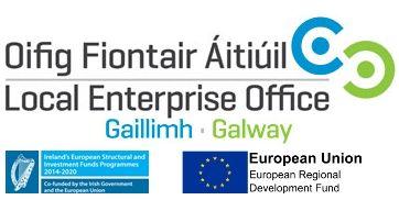 Galway Logo - Local Enterprise Office