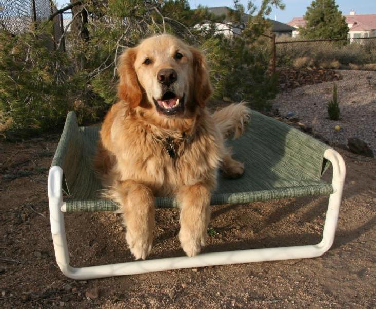 Rover Company Dog Logo - Pet Beds, Pet Gates, Pet Enclosures | Rover Company