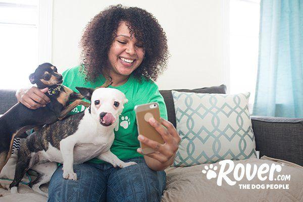 Rover Company Dog Logo - Rover acquires U.K.-based dog care company DogBuddy, accelerating ...