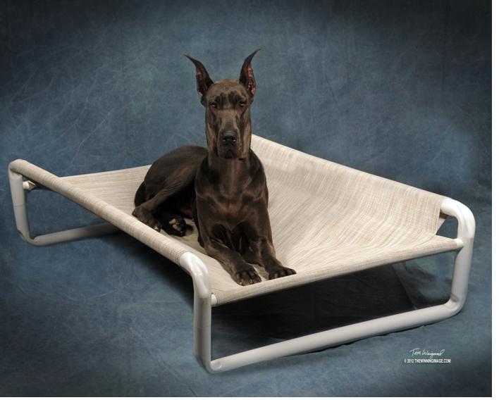 Rover Company Dog Logo - Extra Large Dog Beds Rover Company Teenage Girl Purple Bedding