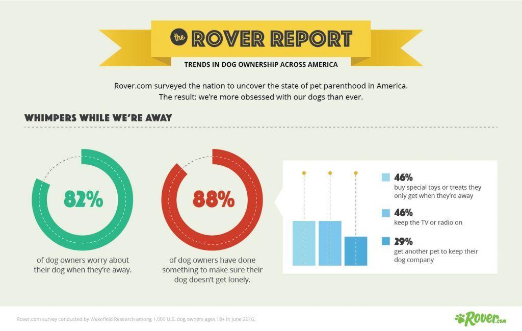 Rover Company Dog Logo - Rover Trends Report Reveals the State of Dog Ownership in America ...