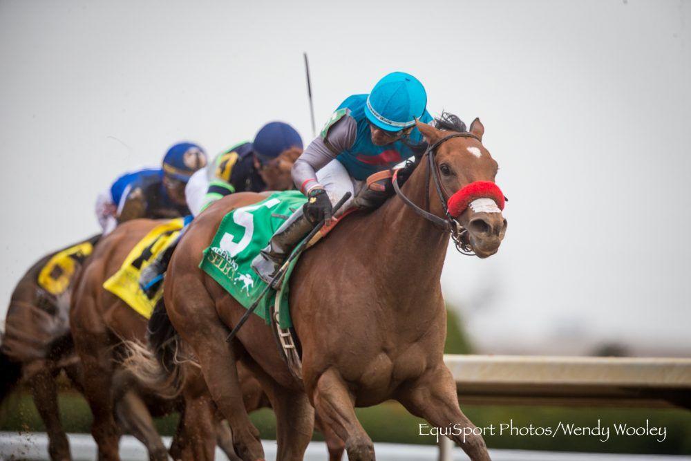 Horse Gas Station Logo - Gas Station Sushi Gets The Job Done In Beaumont - Horse Racing News ...