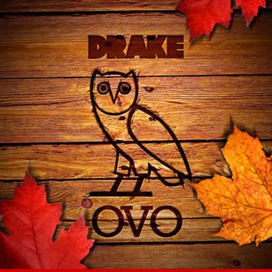 Drake Owl Logo - Drake -- Sued Over $50,000 Hooter | TMZ.com