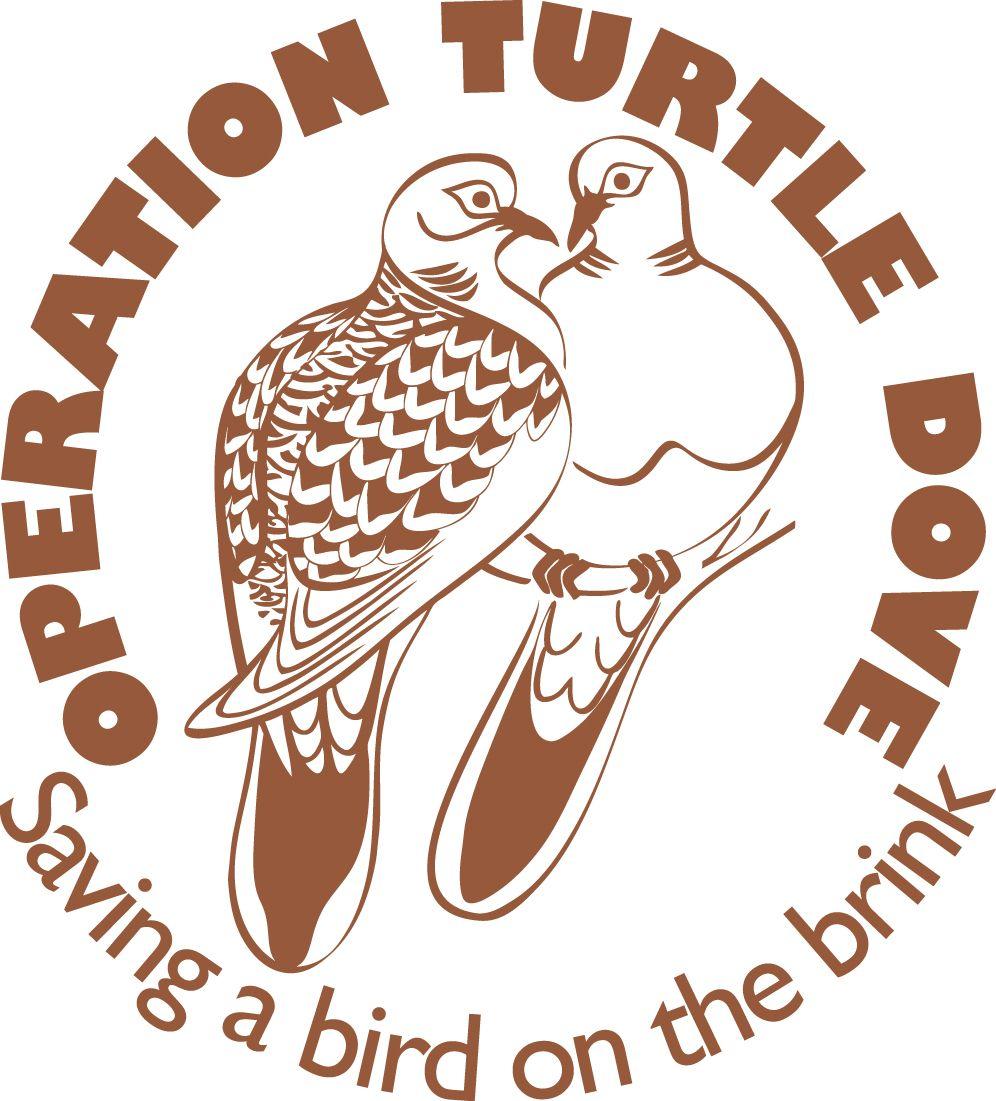 Brown Dove Logo - On the second day of Christmas my true love gave to me. '