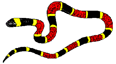 Yellow and Red Snake Logo - Florida Orienteering WILD: Coral or King Snake