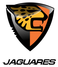 Jaguar Soccer Logo - 20 Of The Best Club Badges In South American Football | Who Ate all ...