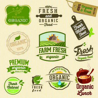 Green and Yellow Food Logo - Organic food logos and labels vector 03 - WeLoveSoLo
