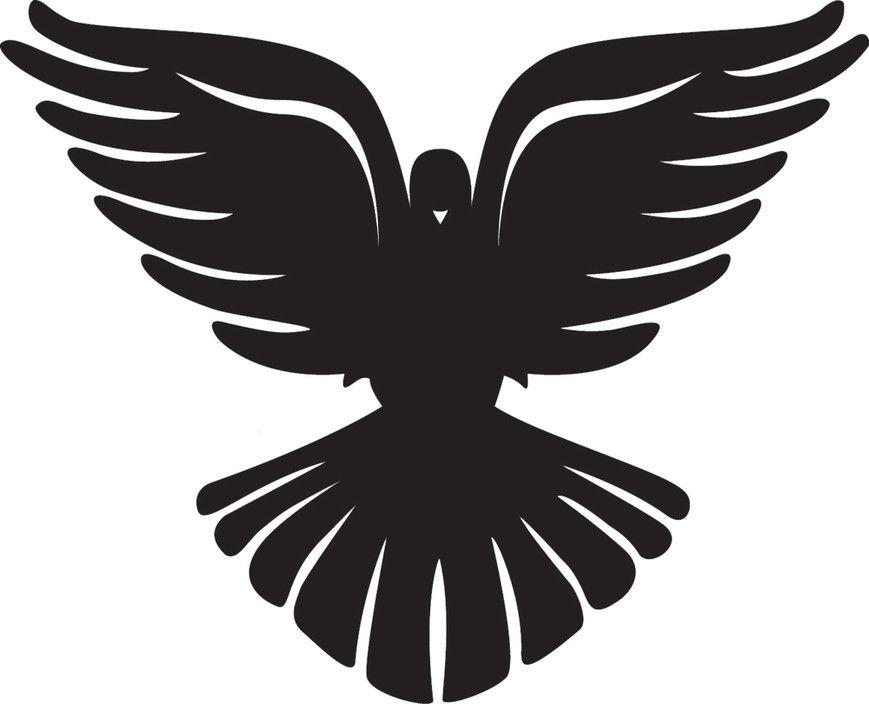 Black and White Dove Logo - Black Dove Body Bar in West End, Brisbane, QLD, Medical Centres